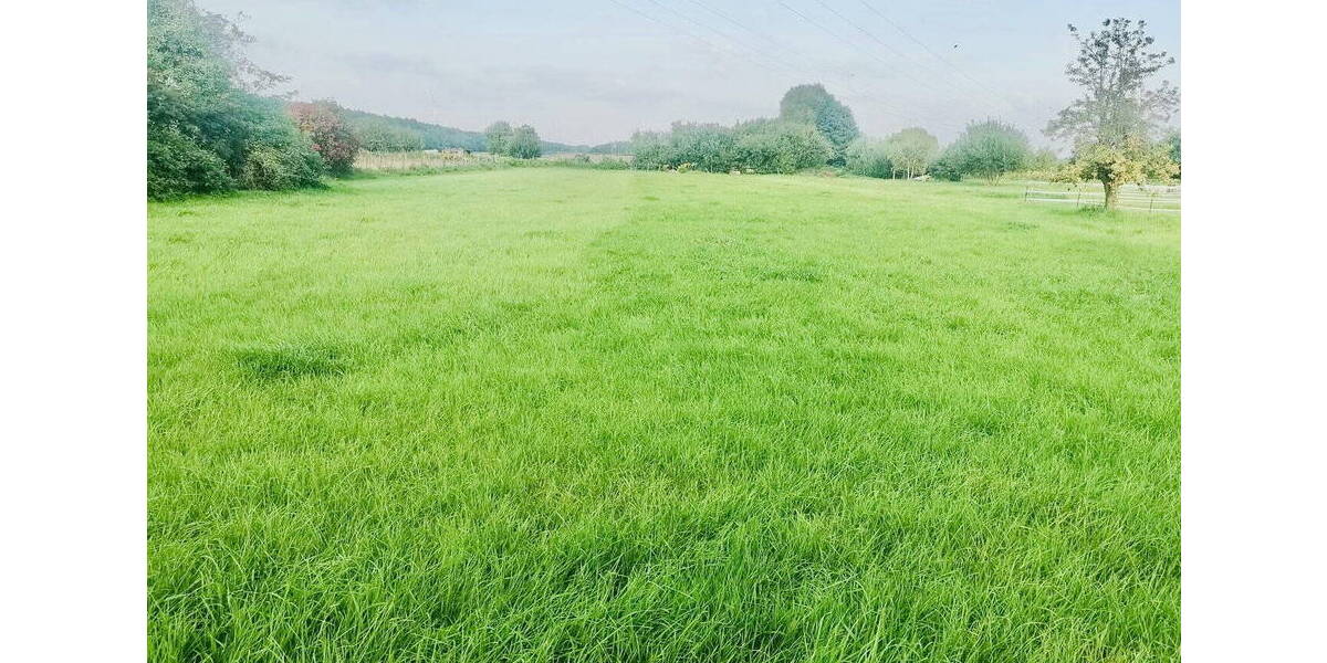Grundstück Grünheide Ortsteil Kagel Kagel - 85.000&euro; | Angebot:26188616