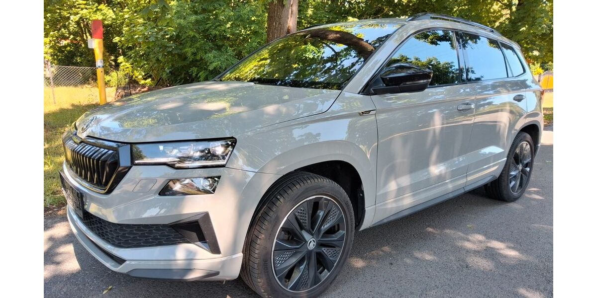 Skoda Karoq 153.000 km 20.900 &euro; Berlin 12347