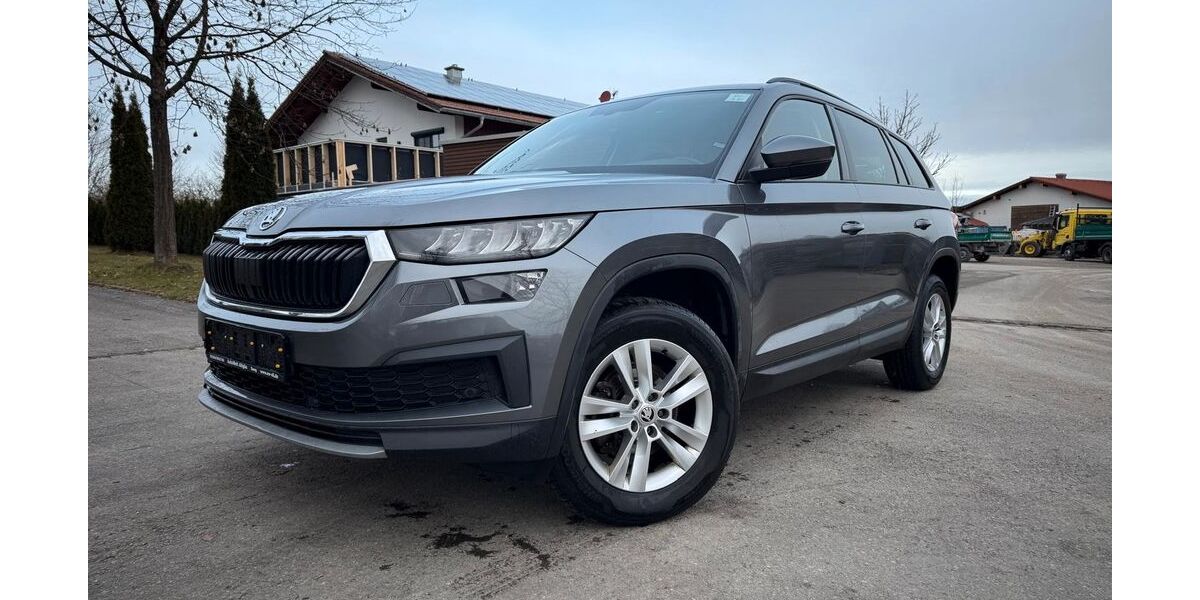 Skoda Kodiaq 83.750 km 26.990 &euro; Seeg 87637