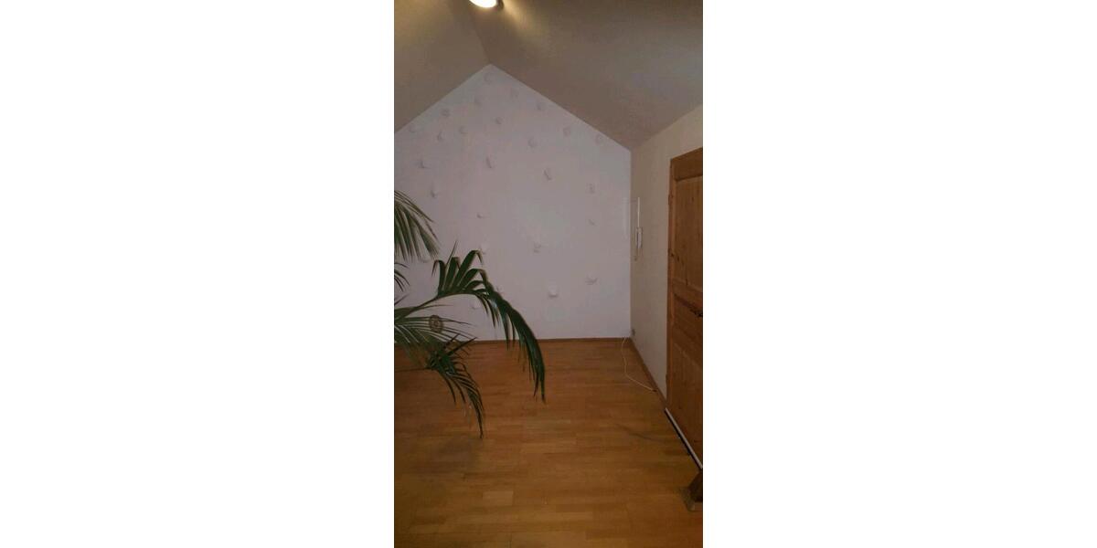Dachgeschoßwohnung Kaiserslautern Betzenberg - 1 Zimmer, 54 m&sup2;, 113.400&euro; | Angebot:26099175