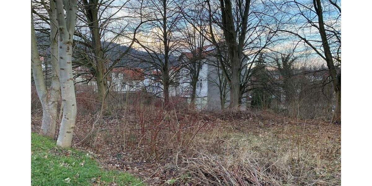 Grundstück Friedrichroda - 120.000&euro; | Angebot:25178521