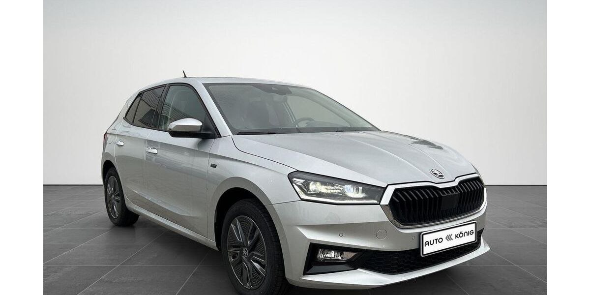 Skoda Fabia 5.000 km 21.990 &euro; Nördlingen 86720