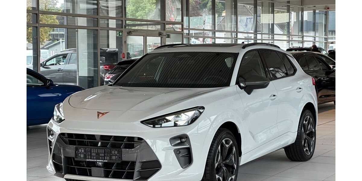 Cupra Terramar 19.000 km 37.500 &euro; Siegen 57078