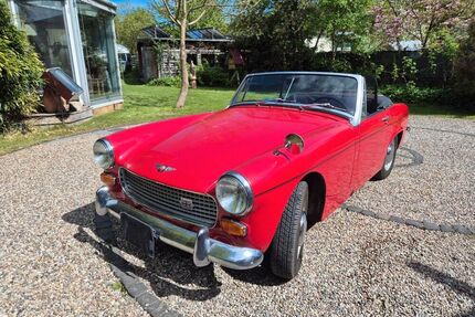 Austin Healey Andere