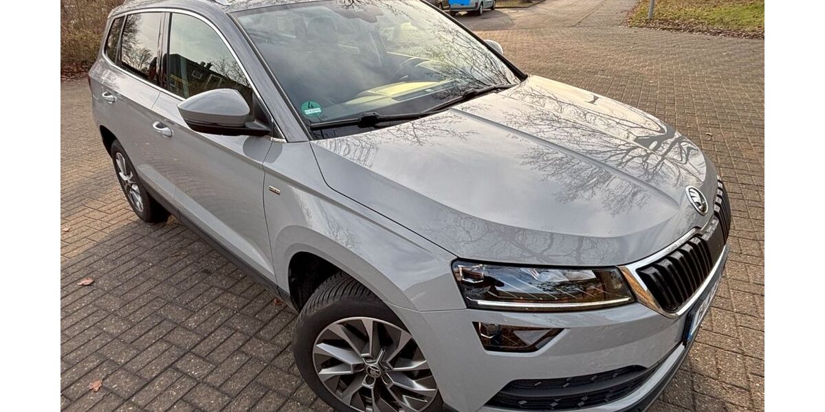 Skoda Karoq 76.100 km 22.490 &euro; Lehrte 31275