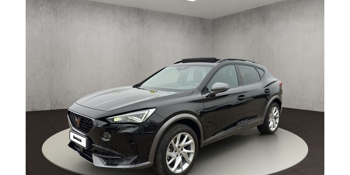 Cupra Formentor 26.500 km 28.980 &euro; Frankfurt 60488