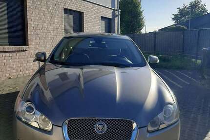 Jaguar XF 287.000 km 4.700 &euro; Bergen 29303
