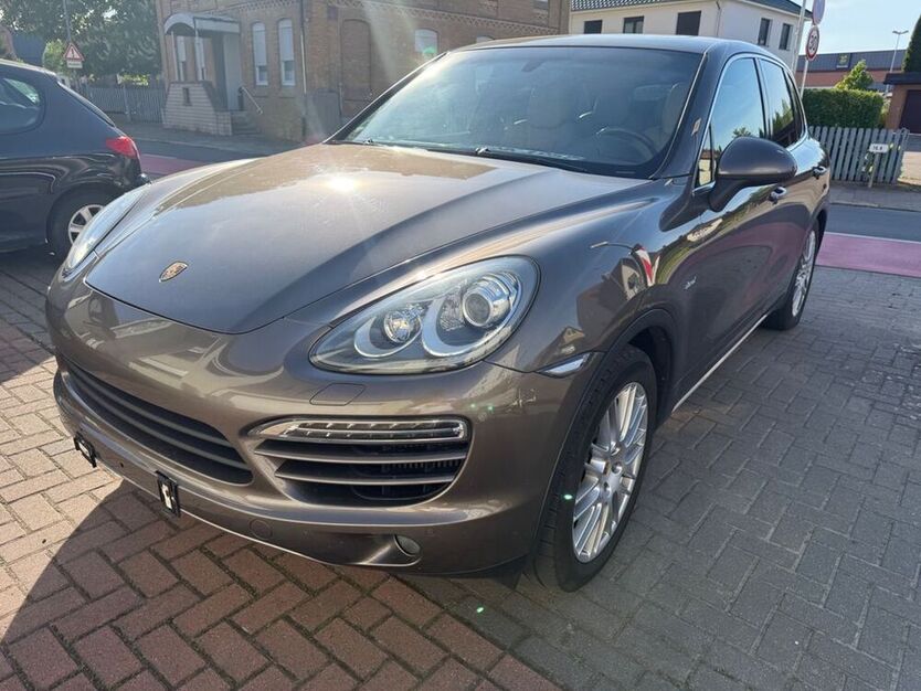 Cayenne