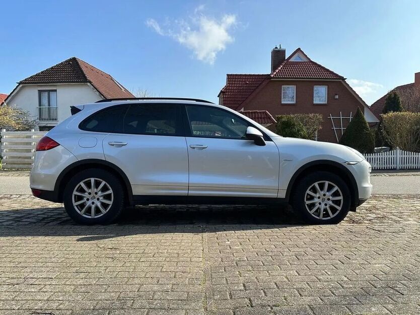 Cayenne