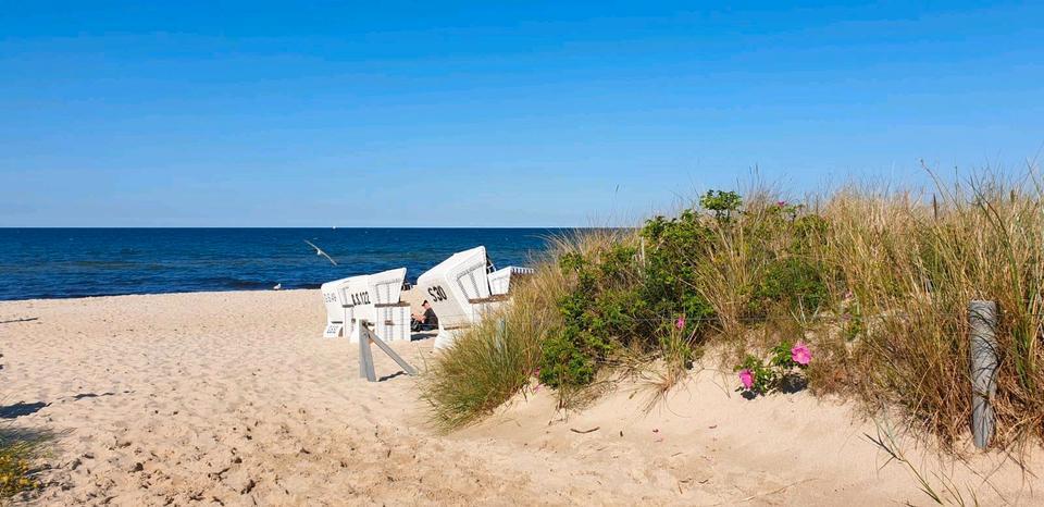 Ostsee Rügen FerienWohnung 22.7.-26.7.