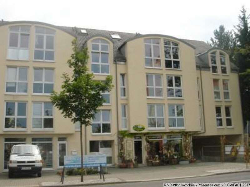 Wohnung zum Mieten in Chemnitz 300 € 45 m²