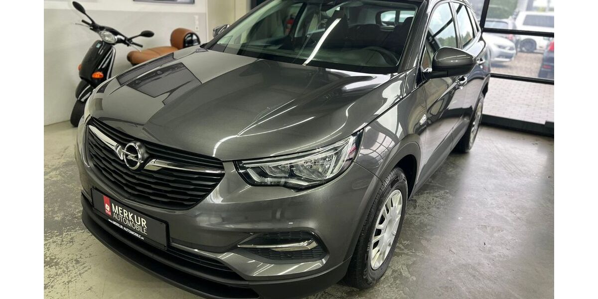 Opel Grandland (X) 142.100 km 9.999 &euro; Krumbach 86381