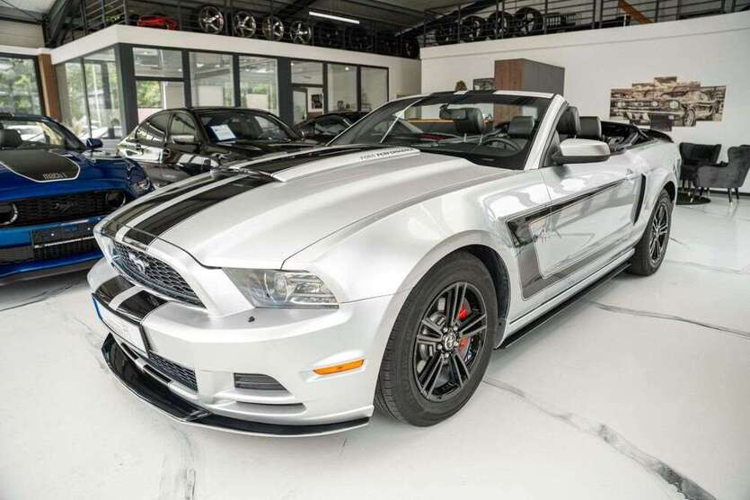 Mustang