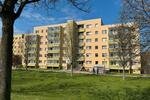 Etagenwohnung Halle (Saale) Damaschkestraße - 1 Zimmer, 30 m&sup2;, 276&euro; | Angebot:26416350