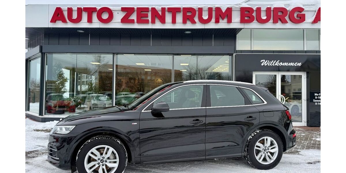 Audi Q5 119.812 km 32.750 &euro; Burg 39288