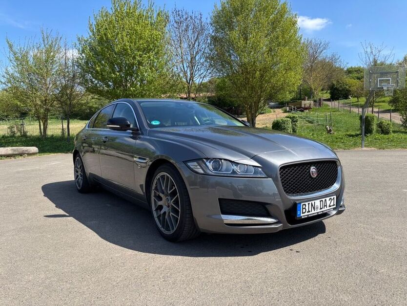 XF