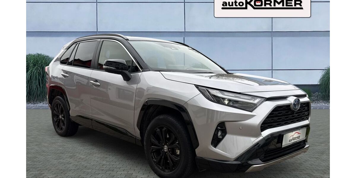 Toyota RAV 4 16.490 km 41.889 &euro; Ismaning 85737