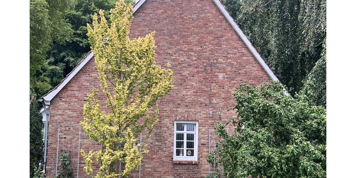 Einfamilienhaus Bremervörde Hesedorf - 2 Zimmer, 101 m&sup2;, 820&euro; | Angebot:26851226