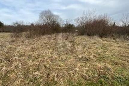 PLANE DEIN EIGENES TRAUMHAUS IM GRÜNEN - Grundstück Keltern | Angebot:24891346