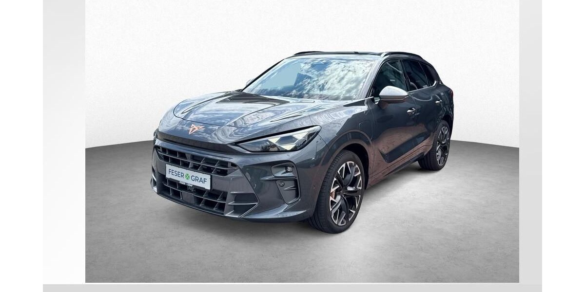 Cupra Terramar 12.990 km 48.550 &euro; Roth 91154