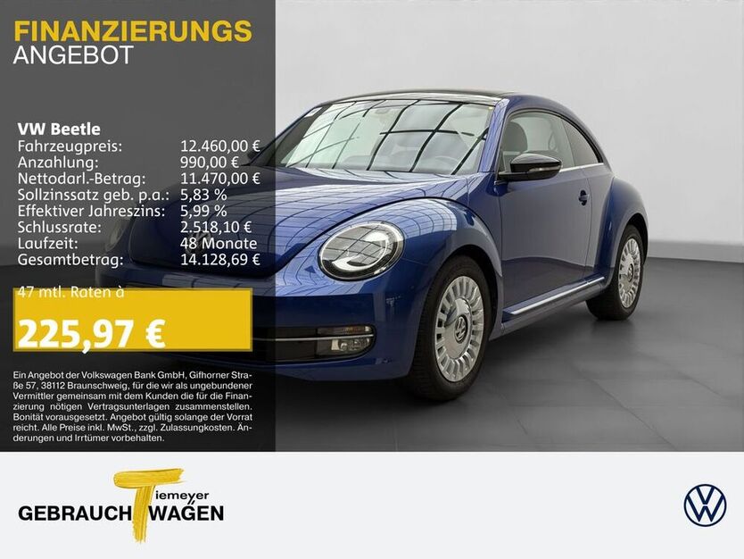 Beetle