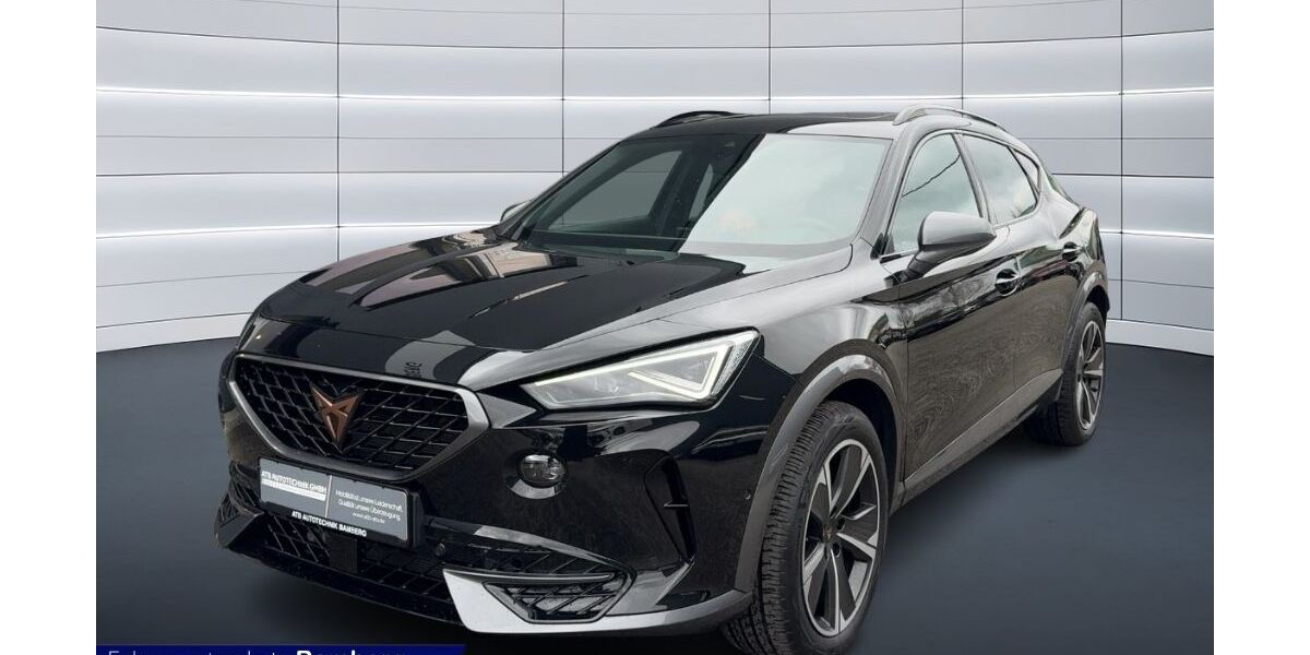 Cupra Formentor 93.600 km 23.990 &euro; Bamberg 96052