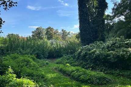 Grundstück Königs Wusterhausen Niederlehme - 257.000&euro; | Angebot:25429049