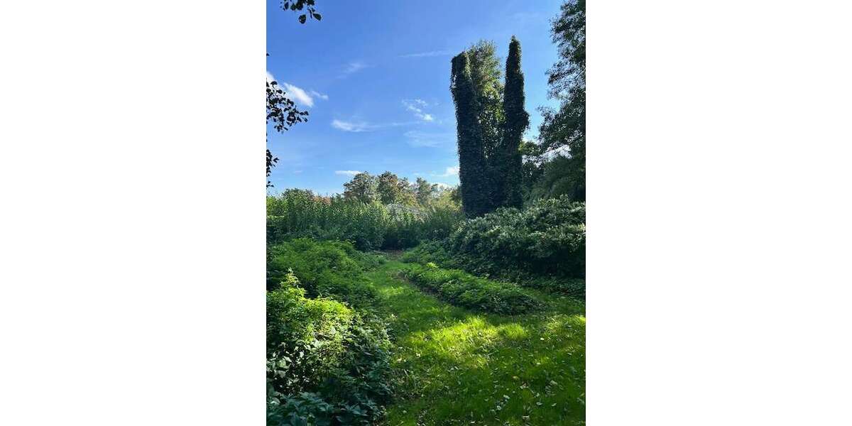 Grundstück Königs Wusterhausen Niederlehme - 257.000&euro; | Angebot:25429049