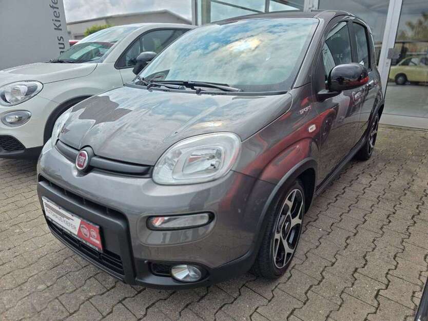 Fiat Panda 30.200 km 11.490 € Sinsheim 74889