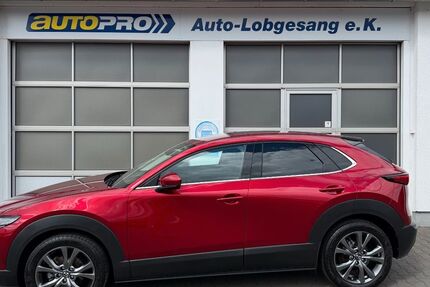 Mazda CX-30 25.230 km 22.700 &euro; Ober-Mörlen 61239