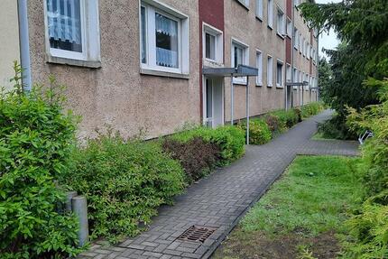 Gemütliche 3-Raum-Wohnung mit Balkon 3 zimmer