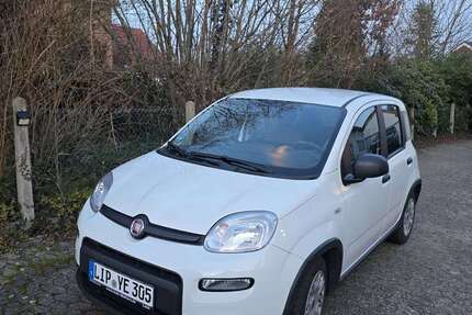 Fiat Panda 25.000 km 10.600 &euro; Bad Salzuflen 32108