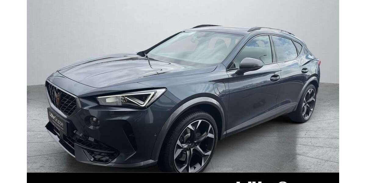 Cupra Formentor 42.797 km 28.380 &euro; Daun 54550