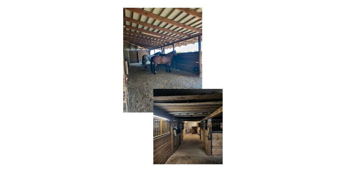 Einfamilienhaus Kyritz - 390.000&euro; | Angebot:26023573