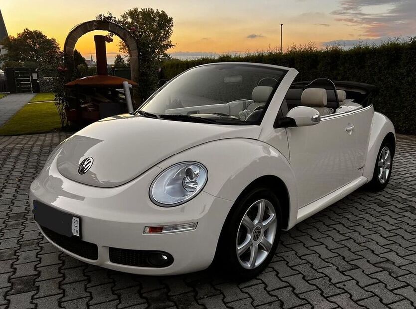 Beetle