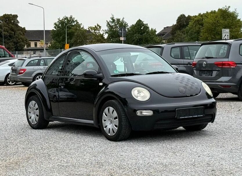 Beetle