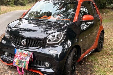 Smart ForTwo 31.262 km 22.900 &euro; Viechtach 94234