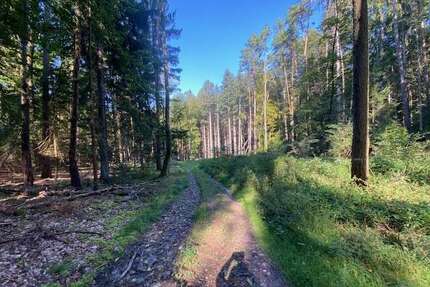 Grundstück in Pentling Matting 132.000 € 15433 m²