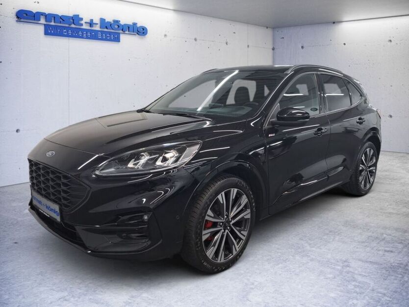Kuga