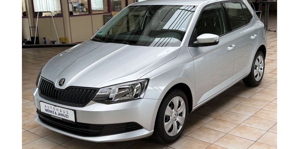 Skoda Fabia 50.000 km 9.480 &euro; Hameln 31785