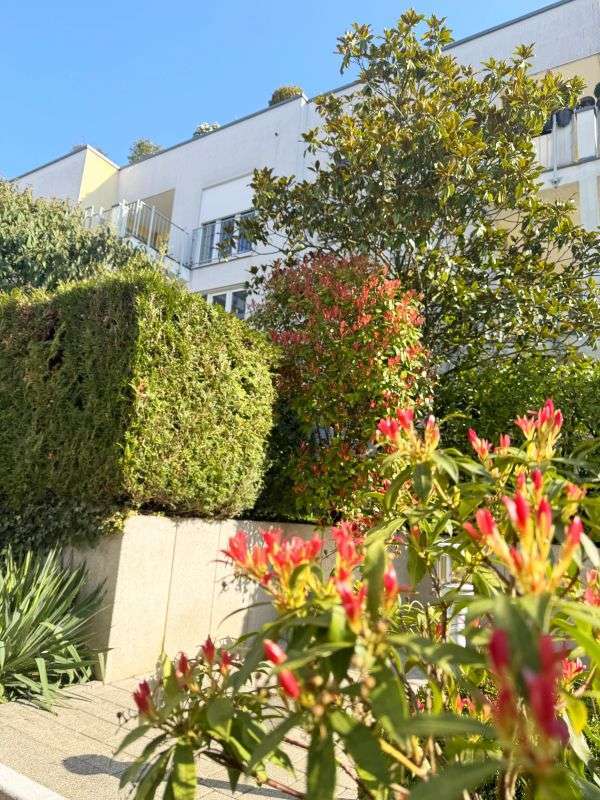 Wohnung zum Mieten in Wiesbaden 1.140 € 66.64 m²