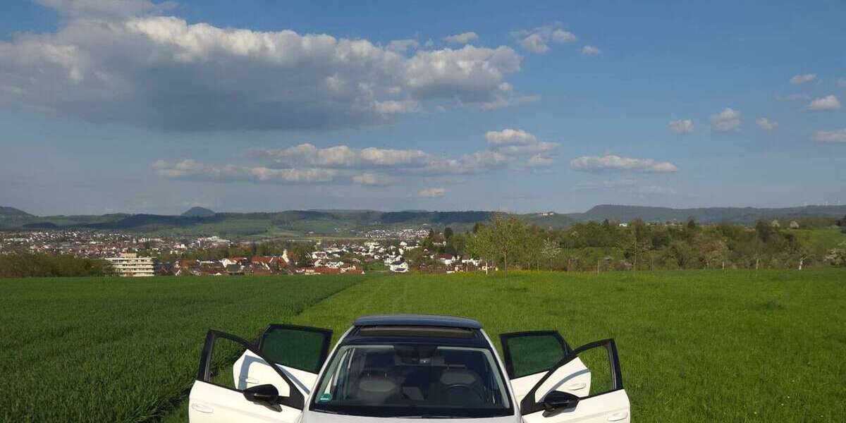 Seat Ibiza 92.500 km 15.990 &euro; Göppingen 73033