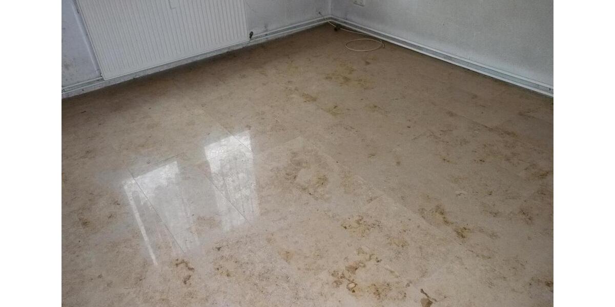 Mehrfamilienhaus, Wohnhaus Sebnitz - 25 Zimmer, 450 m&sup2;, 99.500&euro; | Angebot:27095367