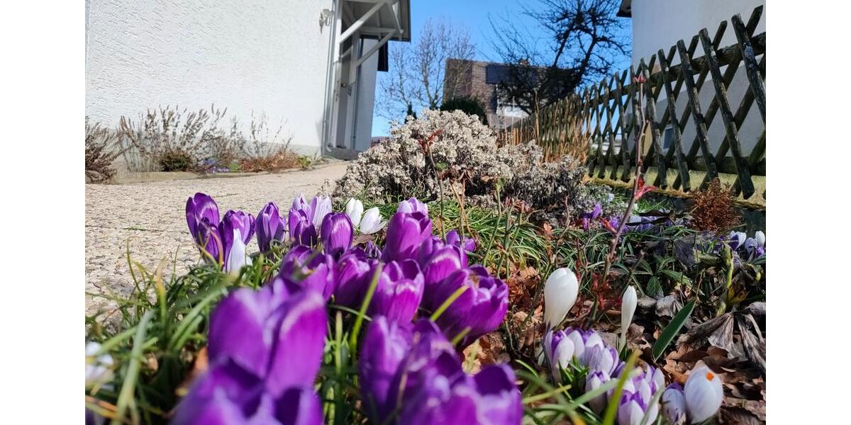 Einfamilienhaus Warstein - 8 Zimmer, 190 m&sup2;, 1.710&euro; | Angebot:25392205