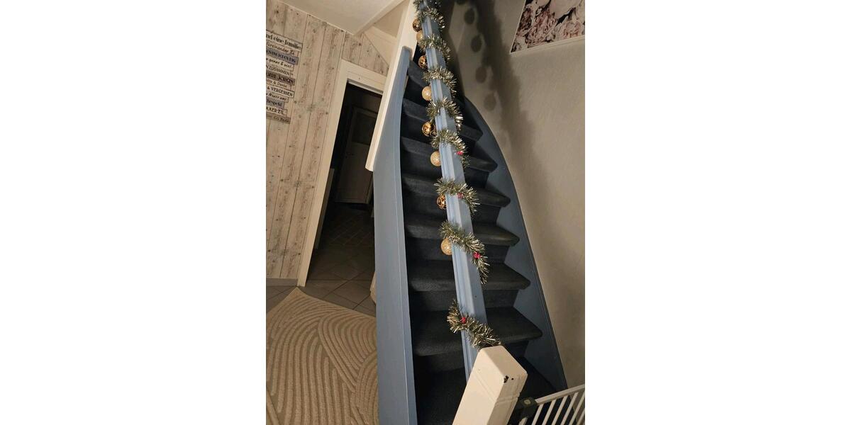 TOP Einfamilienhaus Neufeld 01.04 oder früher zu vermieten 3 zimmer