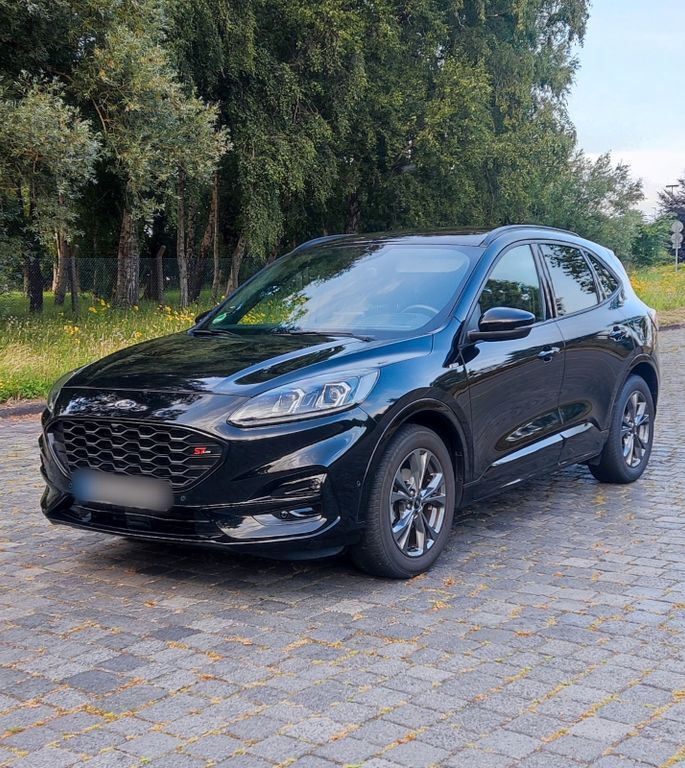 Kuga