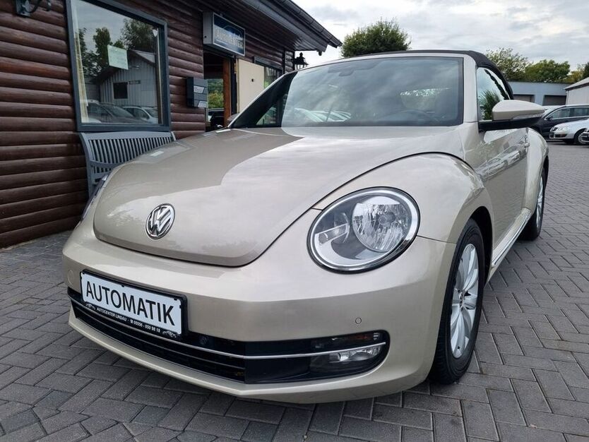 Beetle