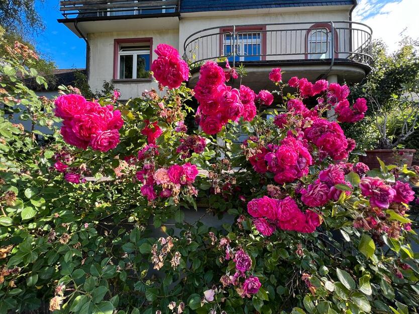 Direkt vom Eigentümer: Großzügiger Altbau in Kreuztal-Ferndorf