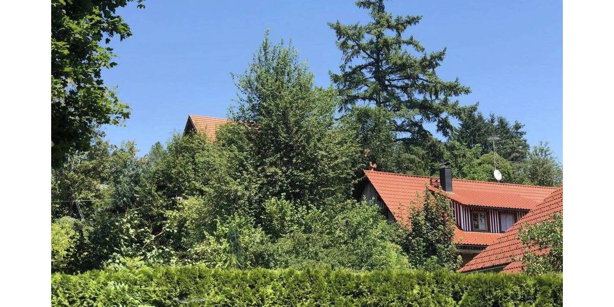 Etagenwohnung Neukirch - 2 Zimmer, 50 m&sup2;, 620&euro; | Angebot:26858201