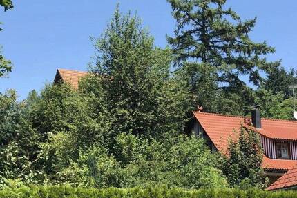 Wohnung Neukirch - 2 Zimmer, 50 m&sup2;, 620&euro; | Angebot:26858201